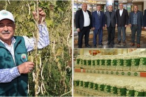 Akkuş Şeker Fasulyesine Dev Destek